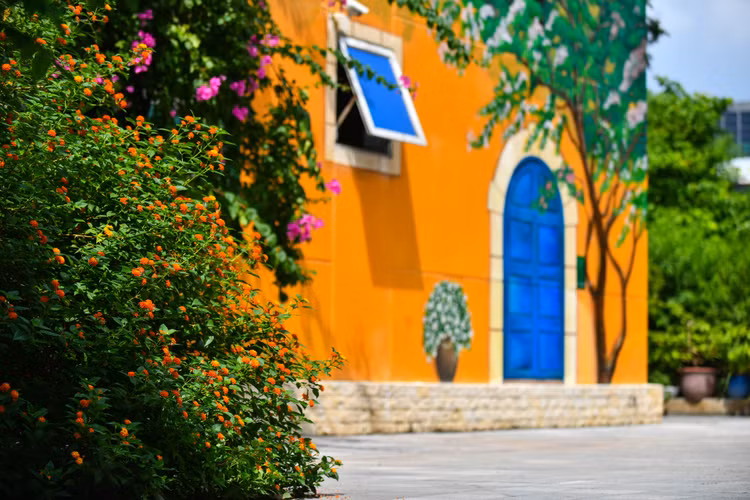 khai giang online anh 2