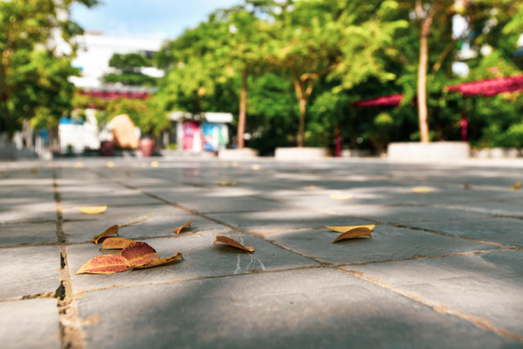 khai giang online anh 3