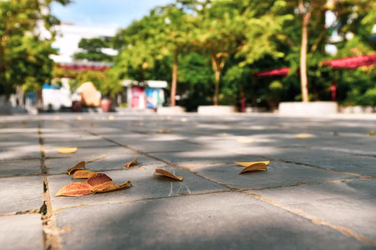 khai giang online anh 3