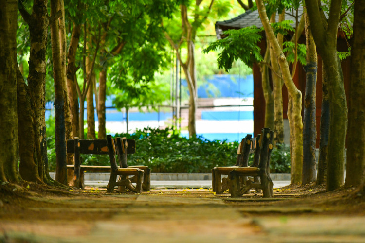 khai giang online anh 5