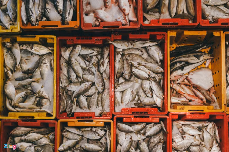 TP.HCM co dut gay nguon cung thuc pham anh 2