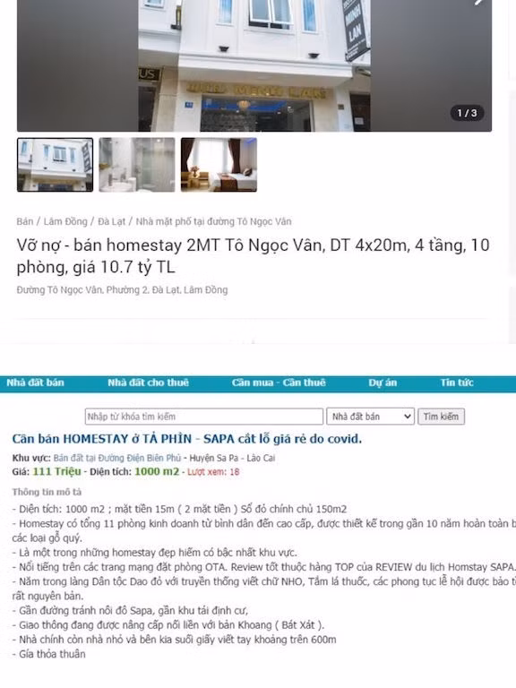 Tháo chạy khỏi homestay, đại gia đứt ruột cắt lỗ sâu hàng tỷ đồng - 1