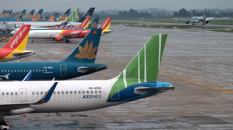 43 triệu lượt người bị tước mất cơ hội bay vé giá rẻ