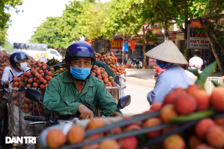 Bắc Giang: Nông dân kêu trời vì giá vải thiều lên xuống thất thường - 15