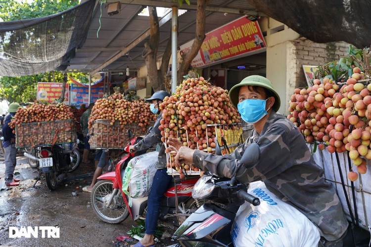 Bắc Giang: Nông dân kêu trời vì giá vải thiều lên xuống thất thường - 2