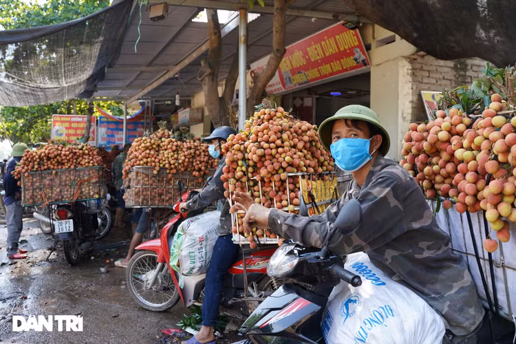 Bắc Giang: Nông dân kêu trời vì giá vải thiều lên xuống thất thường - 2