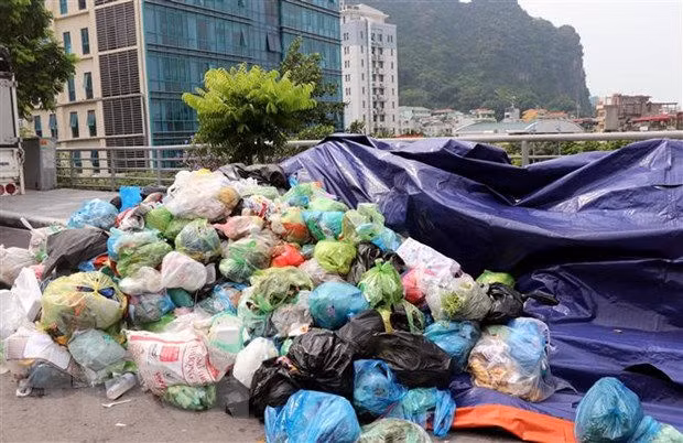 Quang Ninh: Thao go 'khung hoang' ve xu ly rac o Ha Long hinh anh 2