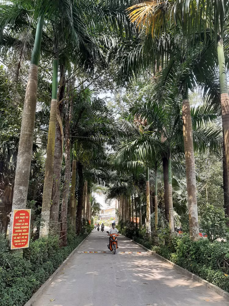 Cận cảnh chùa 600 năm tuổi, có tượng Phật nằm khổng lồ độc nhất Việt Nam - 3