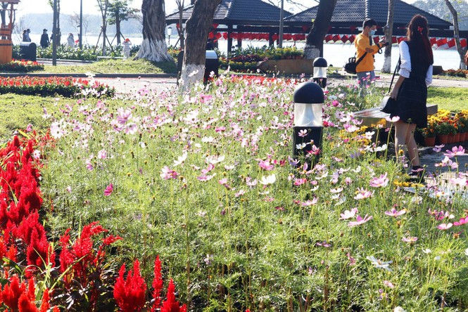 Huế khoác áo hoa rực rỡ sắc màu chiều 30 Tết - ảnh 11