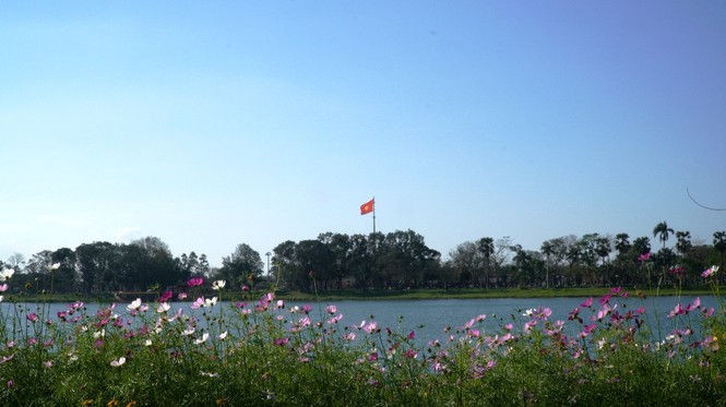 Huế khoác áo hoa rực rỡ sắc màu chiều 30 Tết - ảnh 5