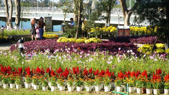 Huế khoác áo hoa rực rỡ sắc màu chiều 30 Tết - ảnh 7