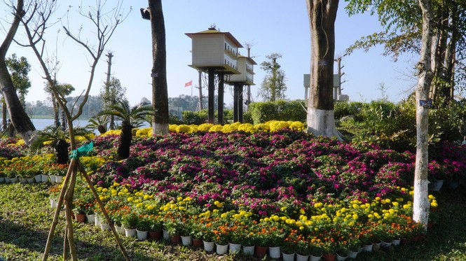 Huế khoác áo hoa rực rỡ sắc màu chiều 30 Tết - ảnh 16