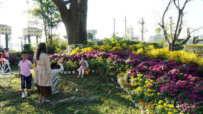 Huế khoác áo hoa rực rỡ sắc màu chiều 30 Tết - ảnh 13