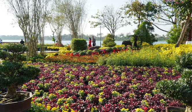 Huế khoác áo hoa rực rỡ sắc màu chiều 30 Tết - ảnh 21