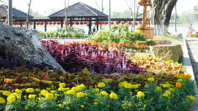 Huế khoác áo hoa rực rỡ sắc màu chiều 30 Tết - ảnh 8