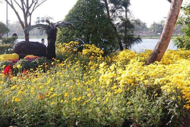 Huế khoác áo hoa rực rỡ sắc màu chiều 30 Tết - ảnh 6