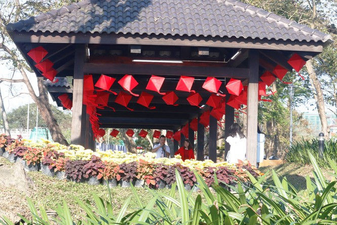 Huế khoác áo hoa rực rỡ sắc màu chiều 30 Tết - ảnh 10