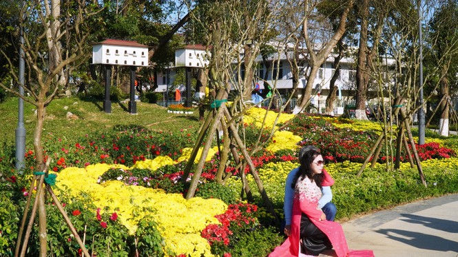 Huế khoác áo hoa rực rỡ sắc màu chiều 30 Tết - ảnh 14