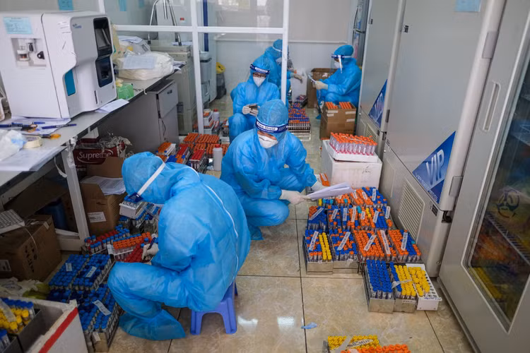 dich Covid-19 Viet Nam anh 5