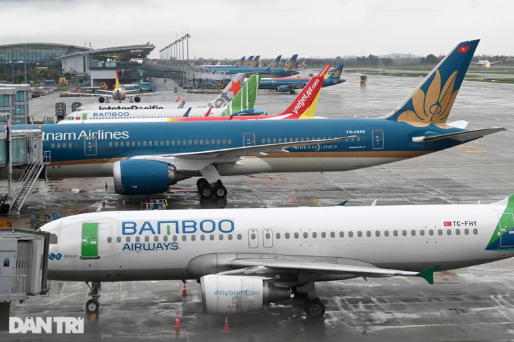 Sốc vì Covid: 79.000 hành khách tháo chạy, sân bay không một bóng người! - 3