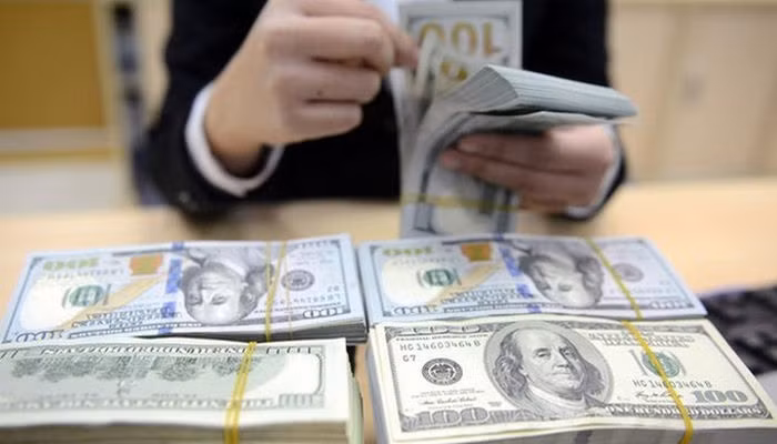 Kiều hối người Việt ở nước ngoài gửi về giảm 1 tỷ USD vì Covid-19 - 1