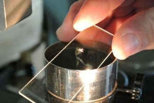 Ảnh bông tuyết đầu tiên được chụp như thế nào? ảnh 4