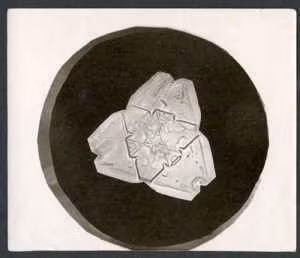 Ảnh bông tuyết đầu tiên được chụp như thế nào? ảnh 3