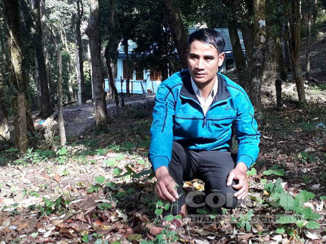 Công phu nghề săn chuột quý tộc - Ảnh 2.