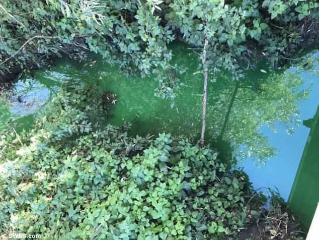 Ở một đoạn khác nước sông lại có màu xanh lá cây