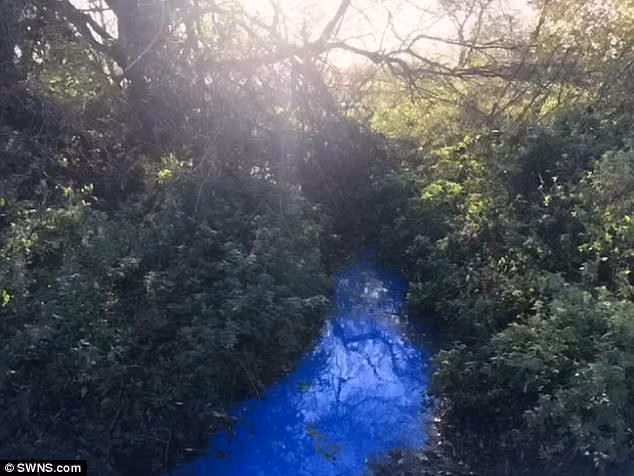 Sông Ouse đổi màu cả tháng nay