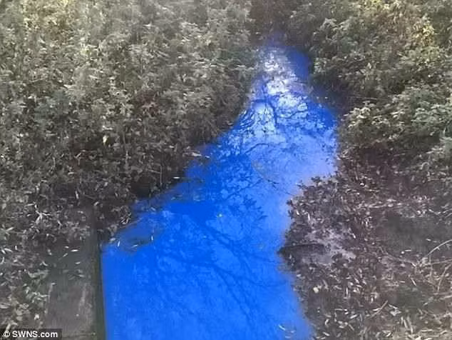 Một khúc sông Ouse chuyển sang màu xanh lam kỳ lạ