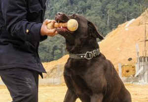 Điều chưa biết về đội khuyển binh canh biên giới ảnh 2