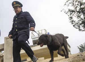 Điều chưa biết về đội khuyển binh canh biên giới ảnh 1