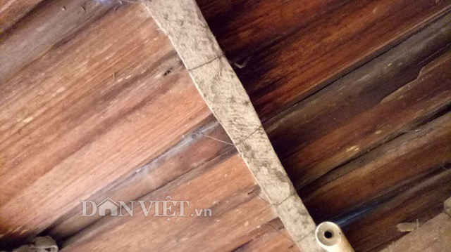 Làng 100% hộ nghèo nhưng nhà toàn bằng gỗ quý ảnh 4