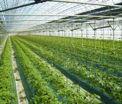 Những ứng dụng công nghệ hiện đại nhất trong nông nghiệp - 8