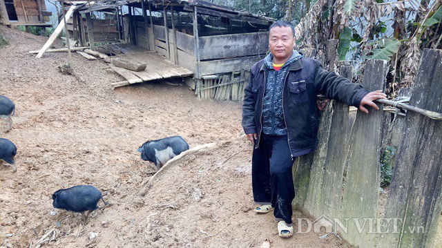 Làng 100% hộ nghèo nhưng nhà toàn bằng gỗ quý ảnh 9