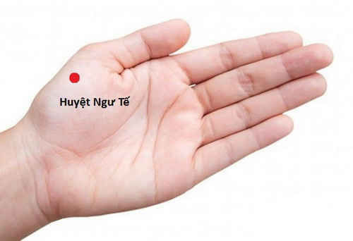 Huyệt ngư tế giáng phế hóa trị khàn tiếng, khó thở.