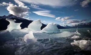 15.000 nhà khoa học cảnh báo thảm họa sắp đến với loài người ảnh 1