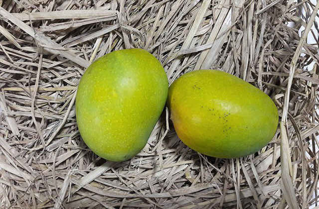 Điều thú vị bạn chưa biết về quả xoài: Làm tăng ham muốn tình dục ảnh 10