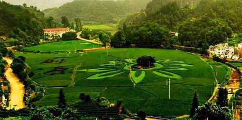 Thuat phong thuy cua Luu Ba On giup 260 nguoi cung lang lam quan-Hinh-2