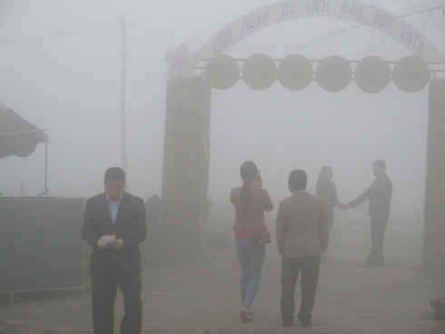 2 do c, mau son chim trong gia lanh hinh 1