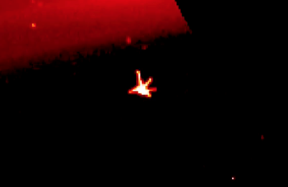 vật thể hình chim hạc