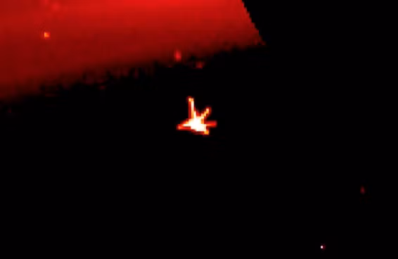 vật thể hình chim hạc