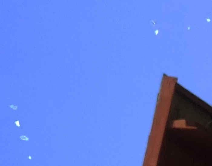 vật thể lạ dị dạng