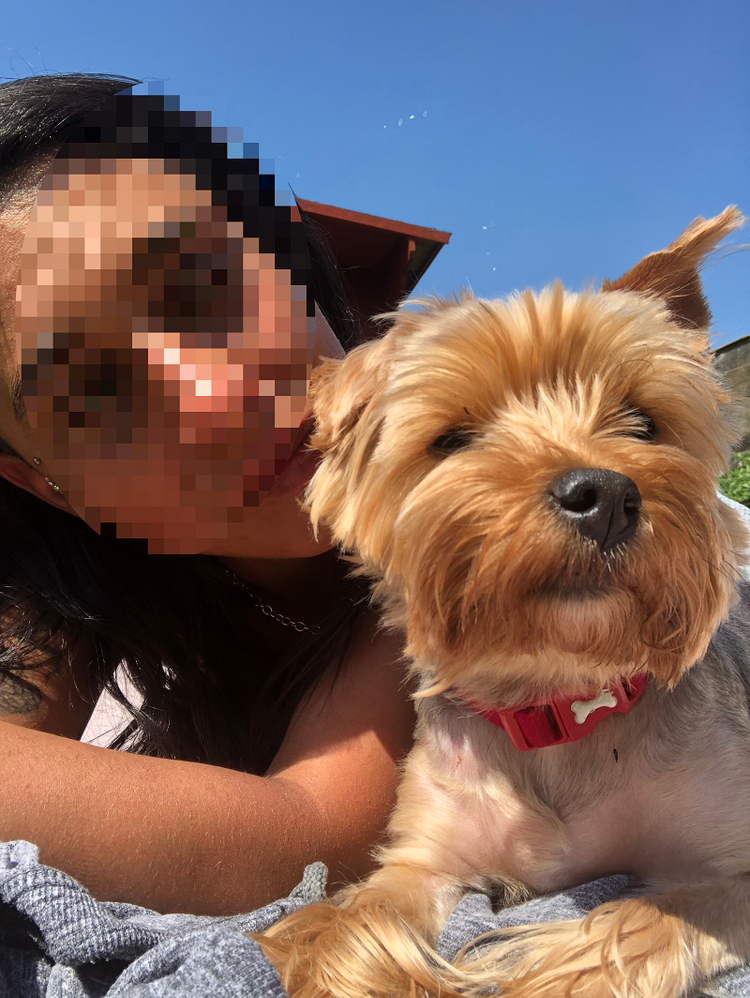 vật thể lạ dị dạng 1