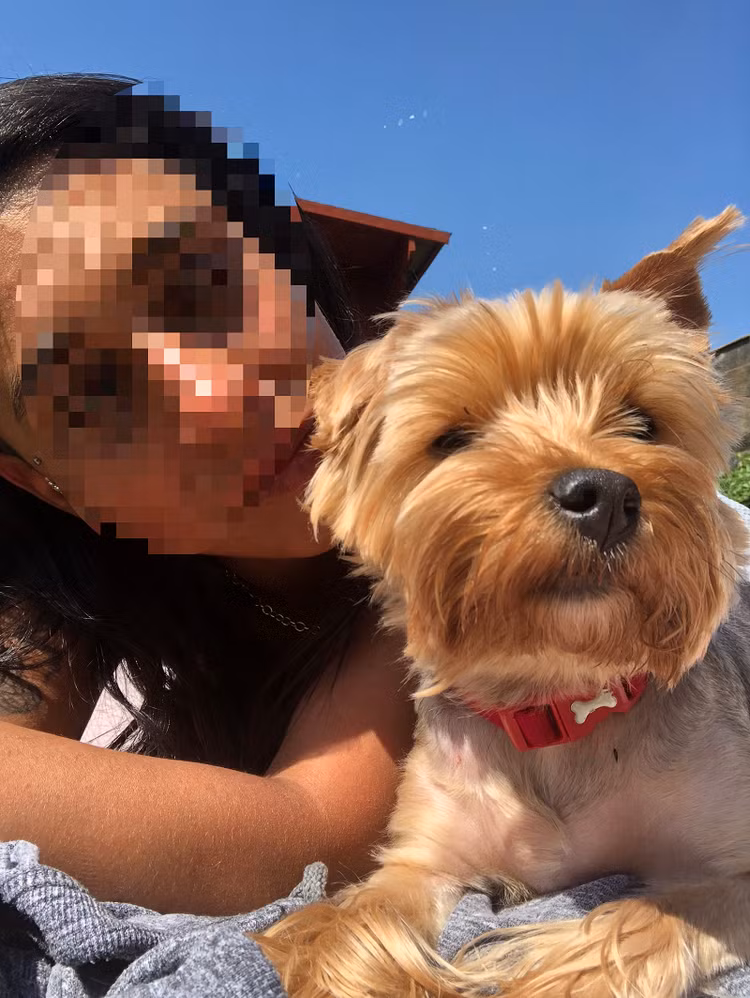 vật thể lạ dị dạng 1