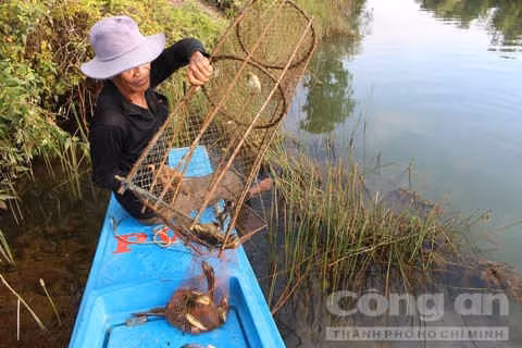 Những xóm du cư mùa nước nổi - Ảnh 12.