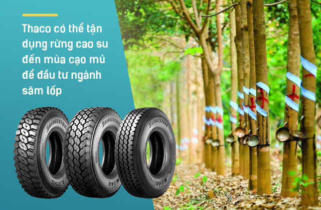 Đầu tư 1 tỷ USD vào HAGL, Thaco muốn gì? - Ảnh 2.