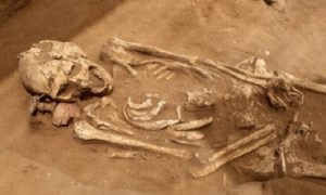 Bí ẩn về người khổng lồ ảnh 1