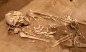 Bí ẩn về người khổng lồ ảnh 1